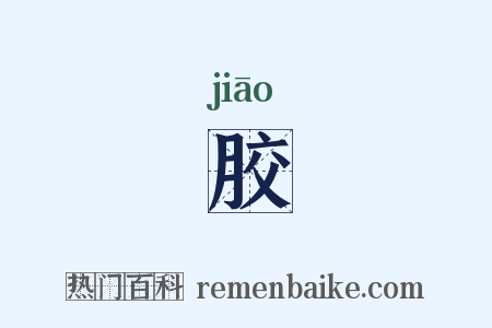 胶是什么意思的图片